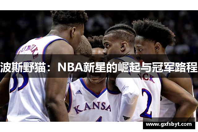 波斯野猫：NBA新星的崛起与冠军路程